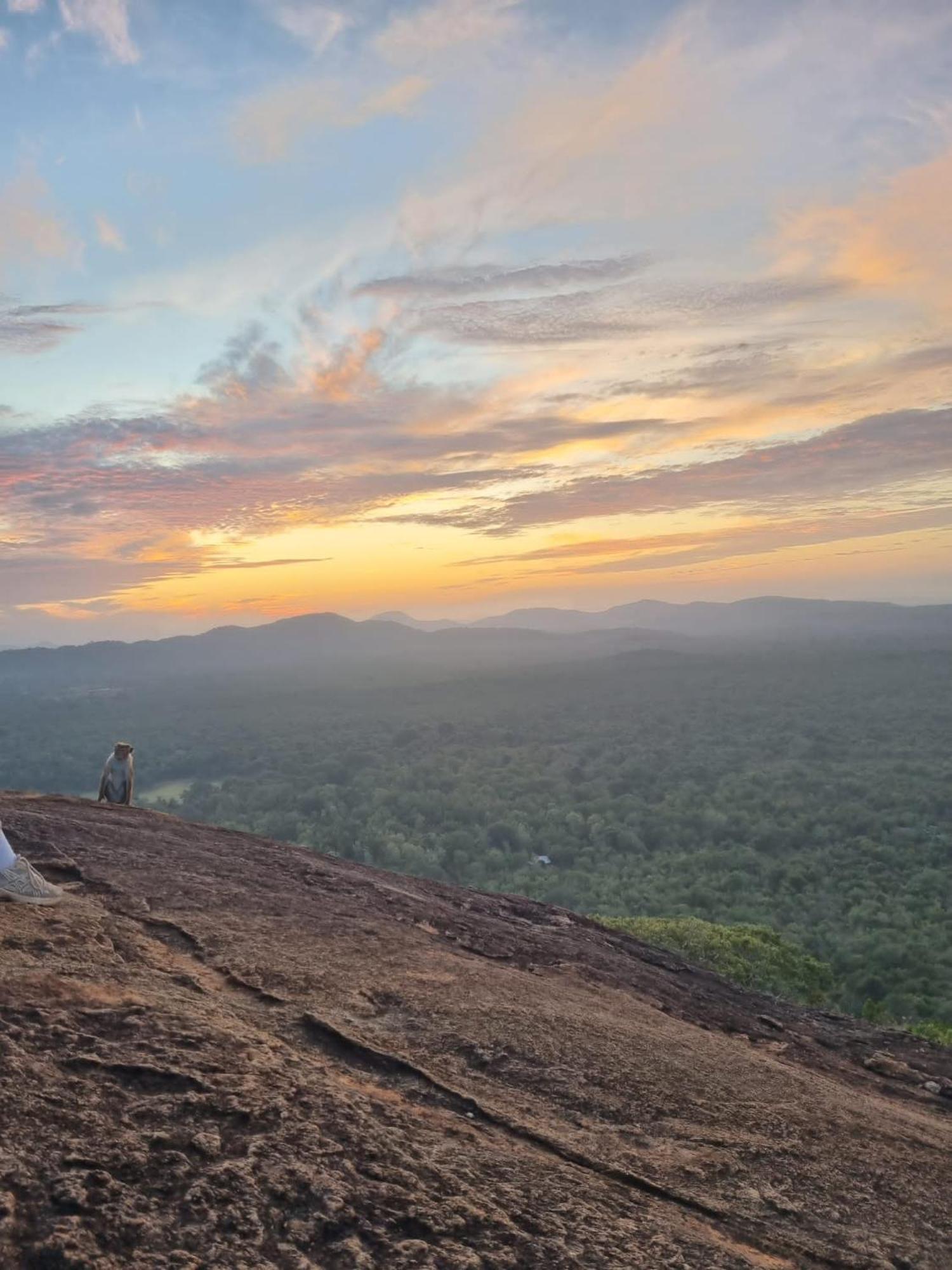 Sunrise Cottage สิกิริยา ภายนอก รูปภาพ