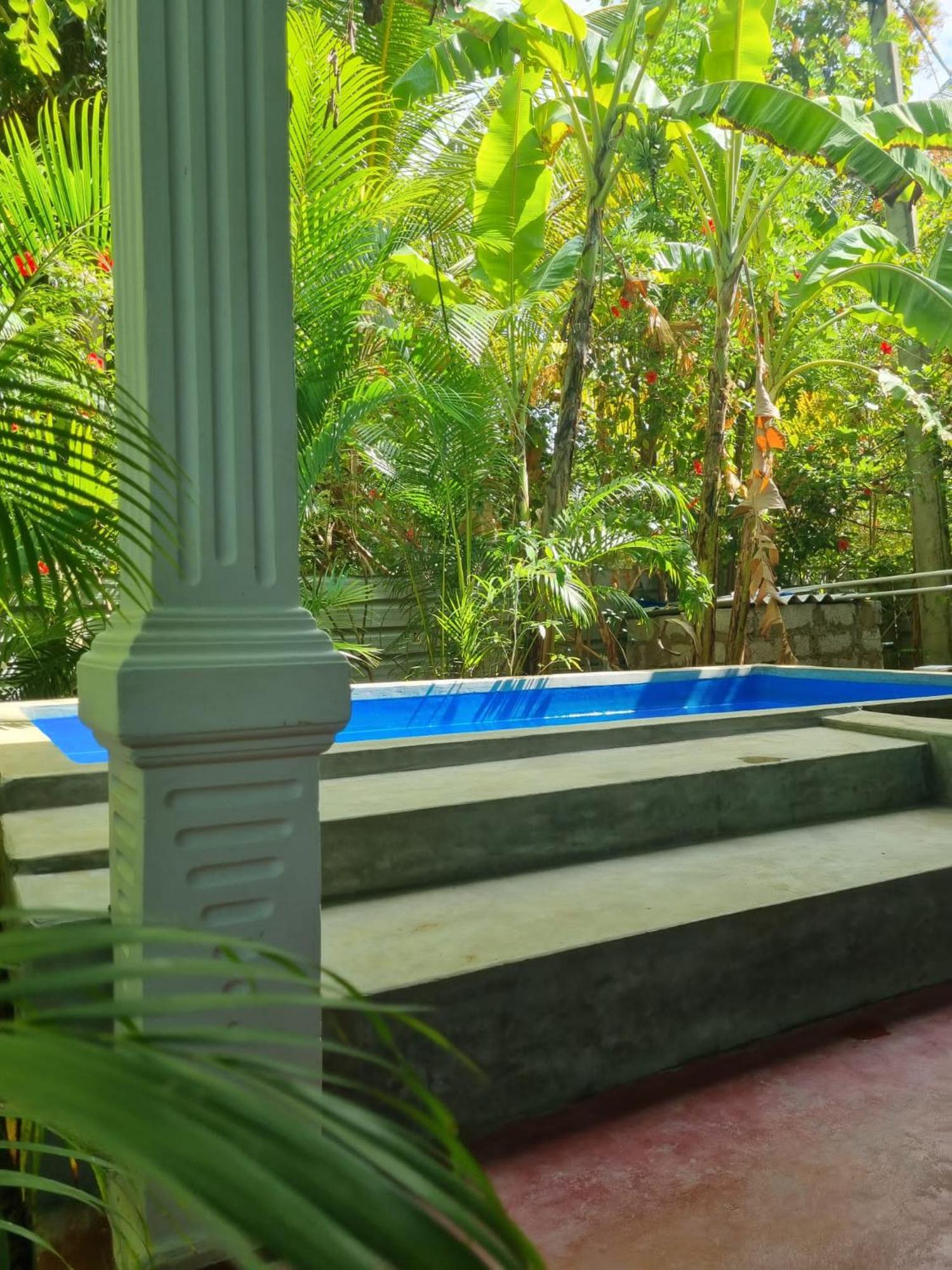 Sunrise Cottage สิกิริยา ภายนอก รูปภาพ
