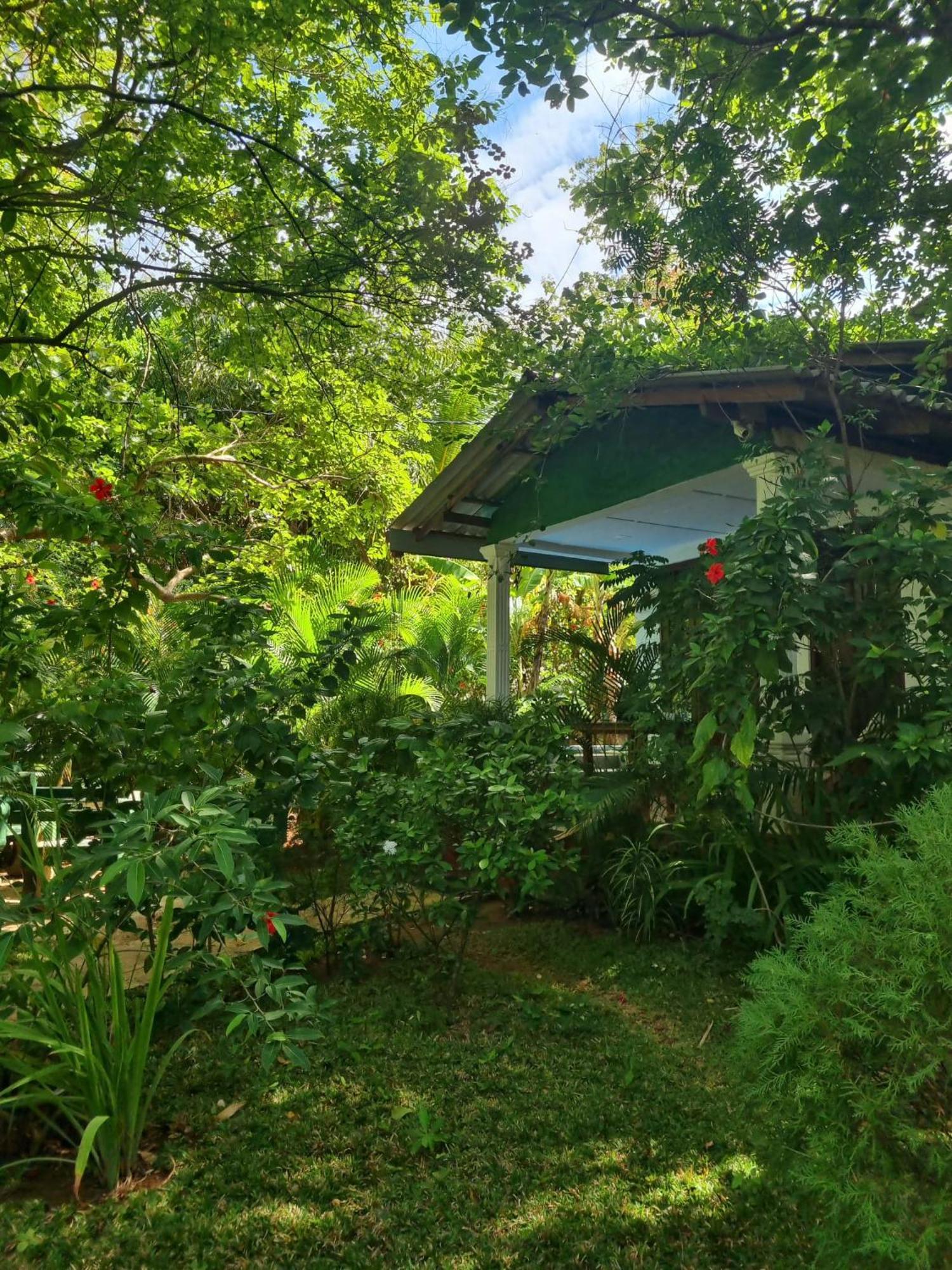 Sunrise Cottage สิกิริยา ภายนอก รูปภาพ