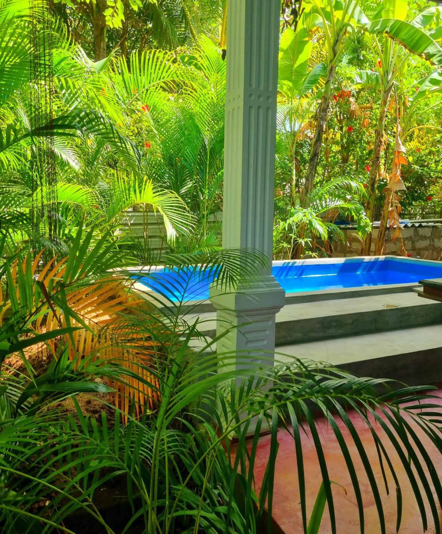 Sunrise Cottage สิกิริยา ภายนอก รูปภาพ