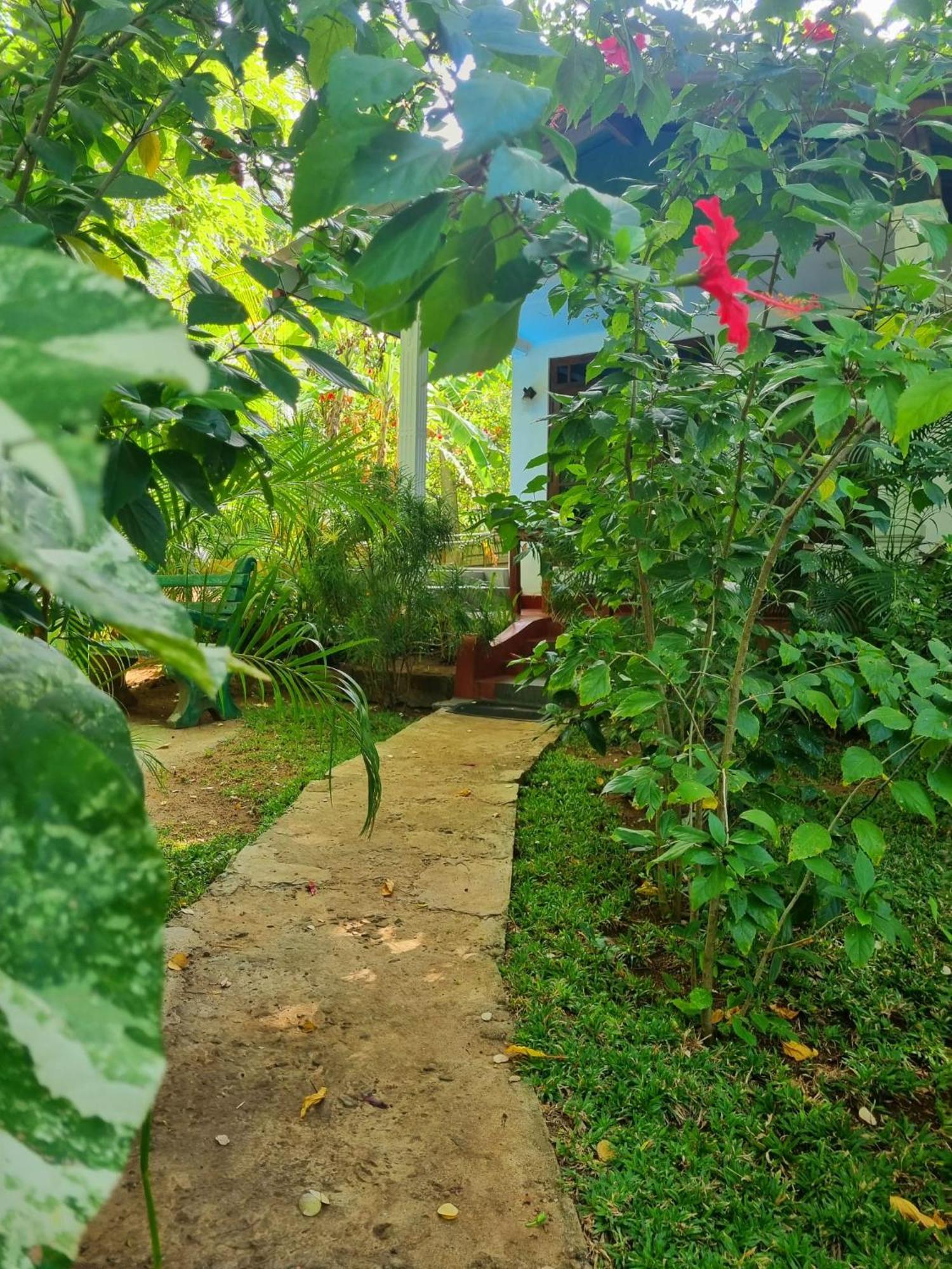 Sunrise Cottage สิกิริยา ภายนอก รูปภาพ