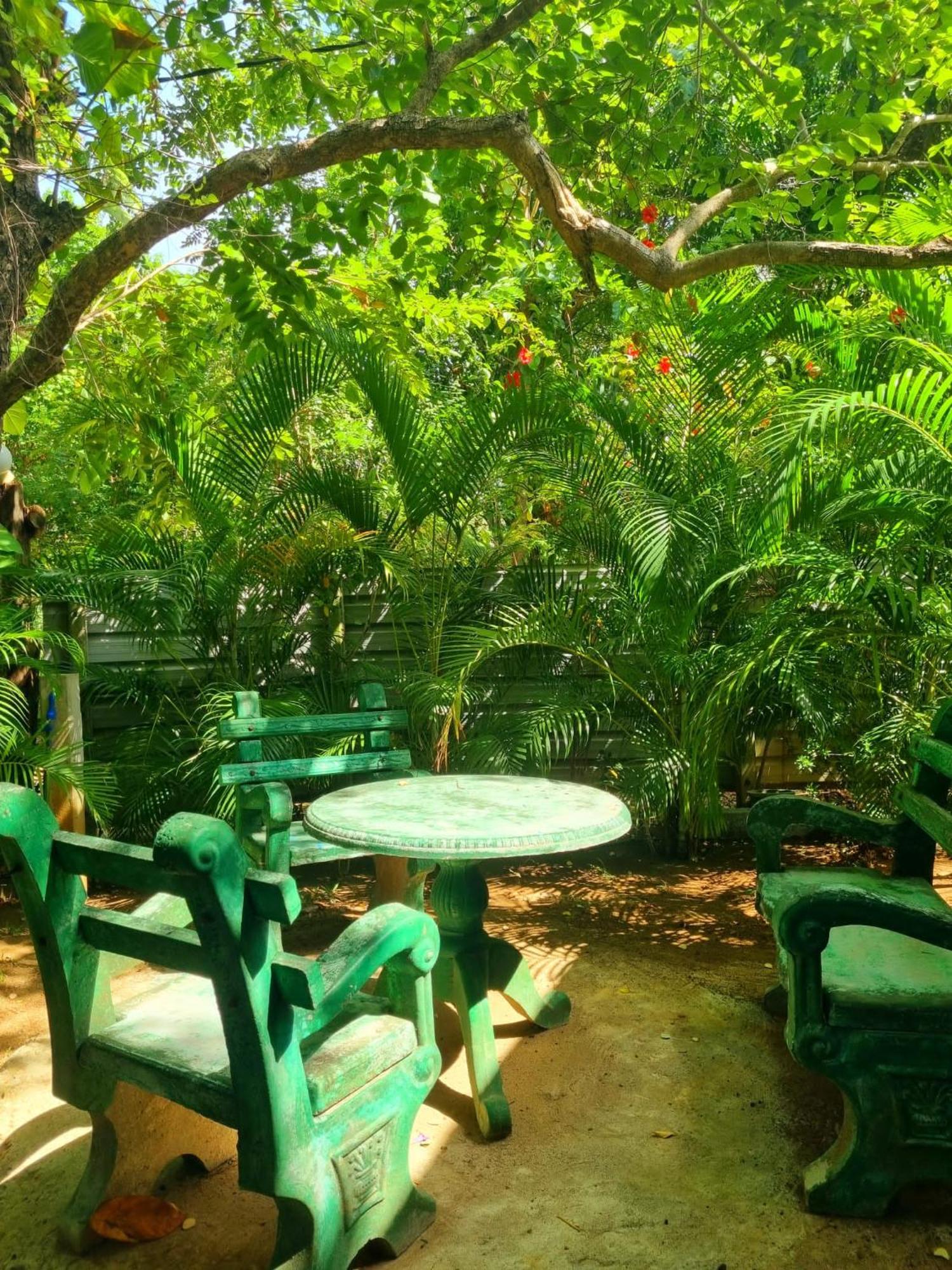 Sunrise Cottage สิกิริยา ภายนอก รูปภาพ