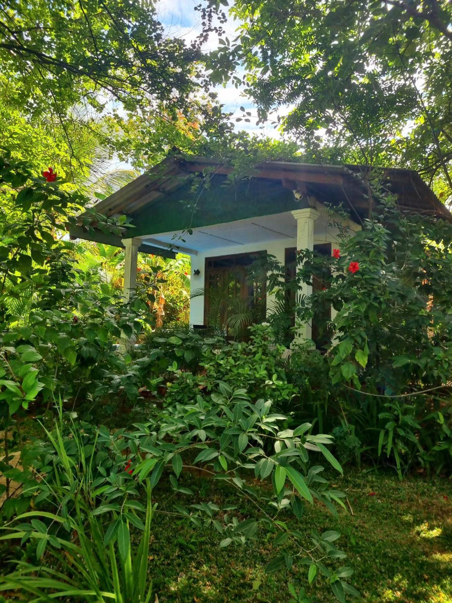 Sunrise Cottage สิกิริยา ภายนอก รูปภาพ