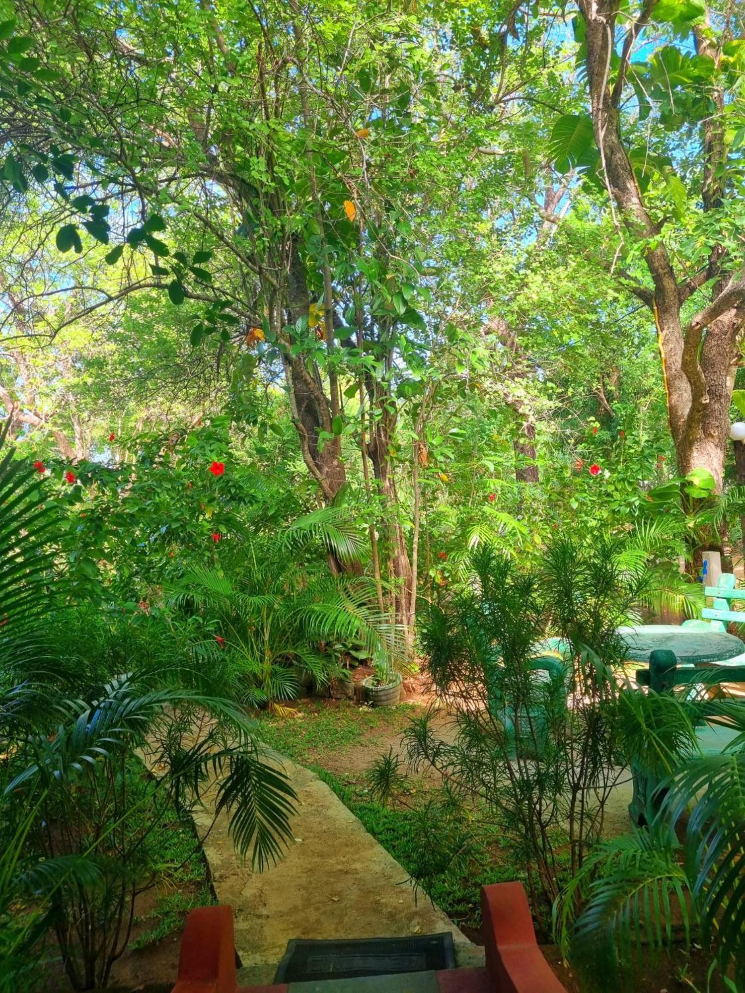 Sunrise Cottage สิกิริยา ภายนอก รูปภาพ