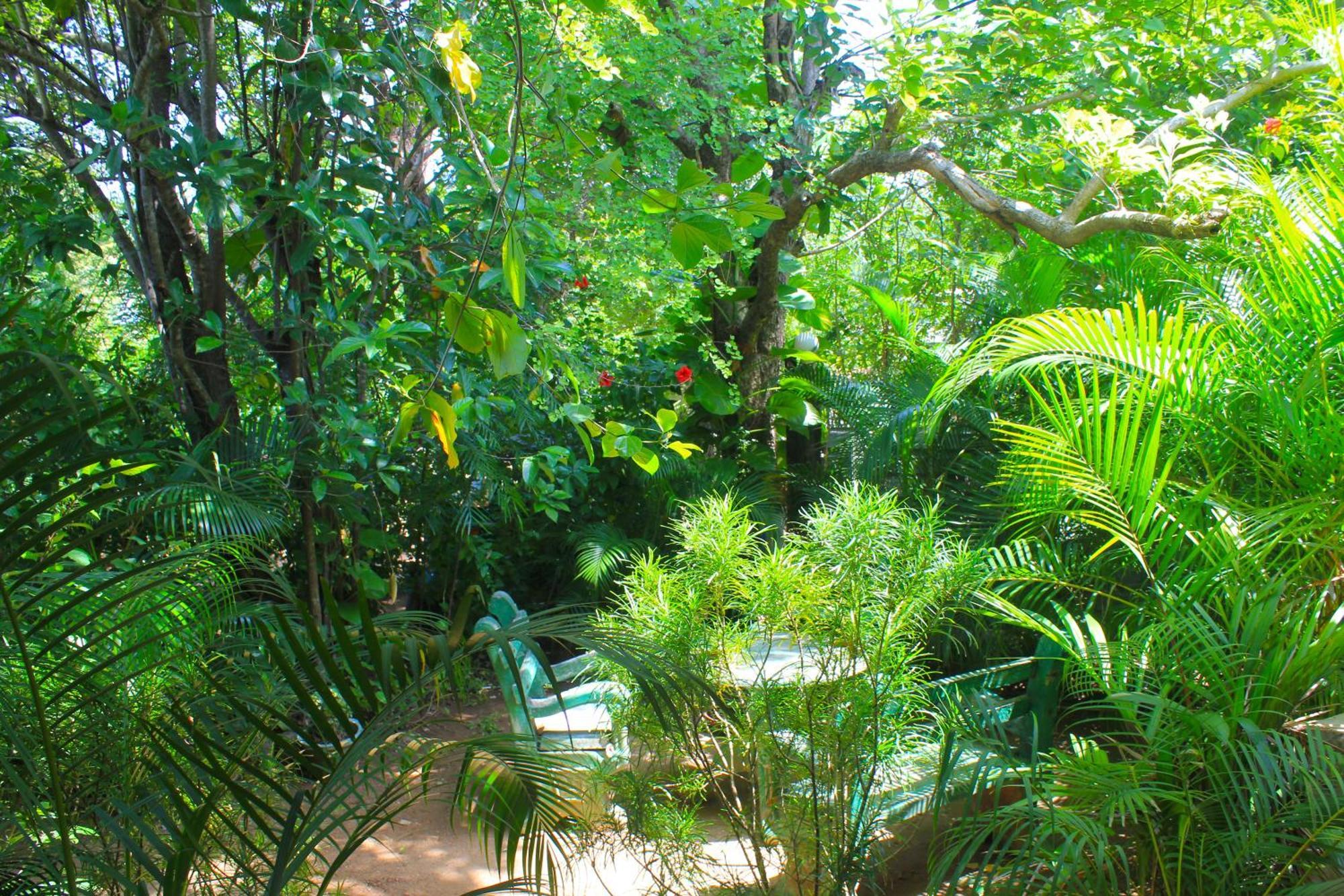 Sunrise Cottage สิกิริยา ภายนอก รูปภาพ